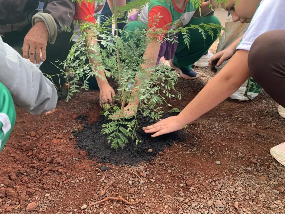 Alunos de Itaporã plantam mudas em parceria com a UFGD na Semana do Meio Ambiente