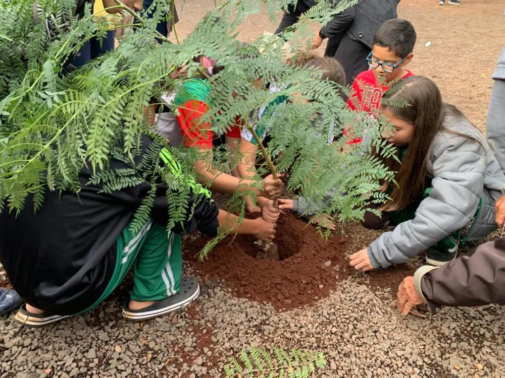 Alunos de Itaporã plantam mudas em parceria com a UFGD na Semana do Meio Ambiente