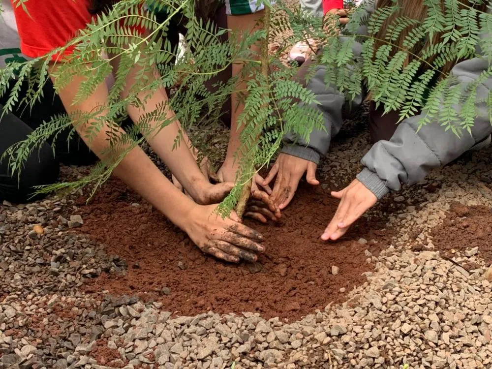 Alunos de Itaporã plantam mudas em parceria com a UFGD na Semana do Meio Ambiente